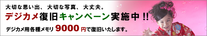 大切な写真 大切な思い出 大丈夫 デジカメ復旧キャンペーン実施 デジカメ用メモリ 安心の定額9,000円で復旧します。