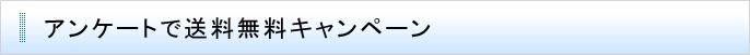 アンケートで送料無料キャンペーン