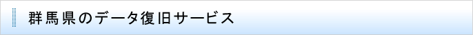 群馬県のデータ復旧サービス